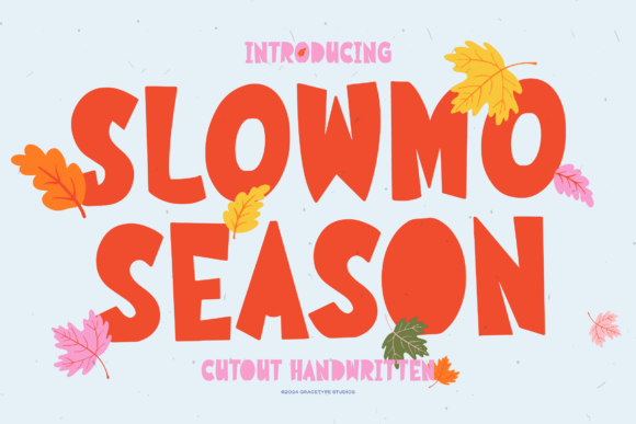 Slowmo Season Typeface for Playful Branding